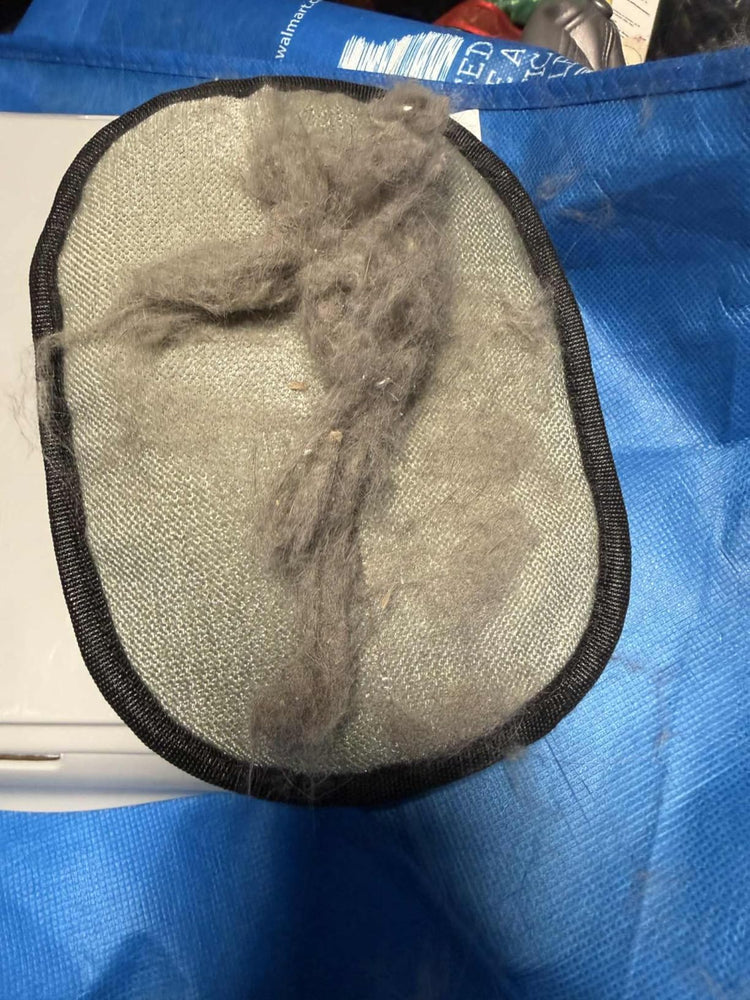 Guante quitapelos con pelo de perro recogido