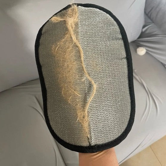 Guante quitapelos con pelo de golden retriever